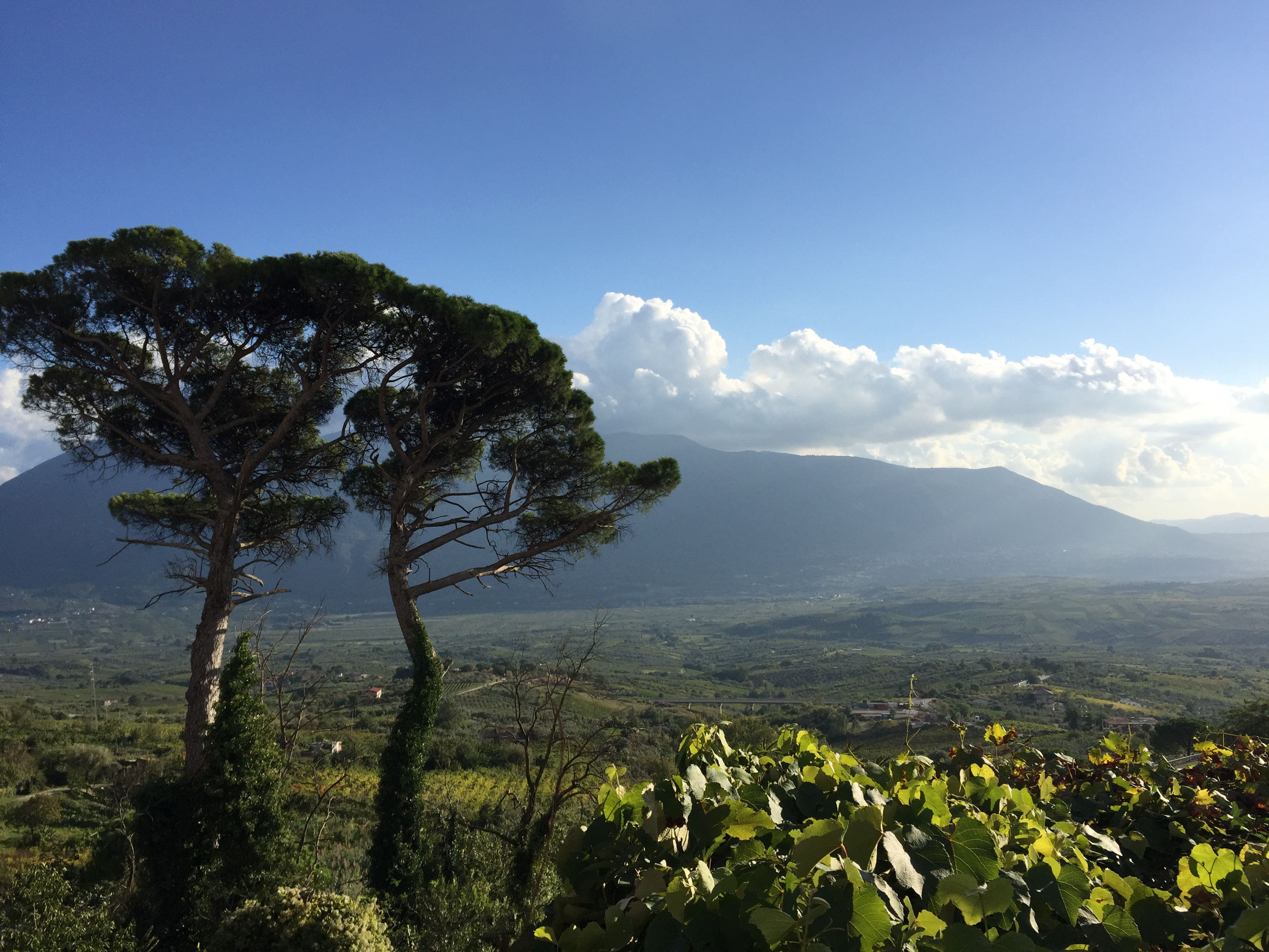 Panorama from Guardia Bella - - Guardia Sanframondi Italy